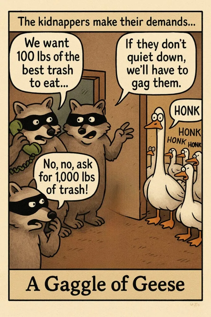 Deck of Nouns card for geese showing collective nouns: gaggle, skein, and wedge.