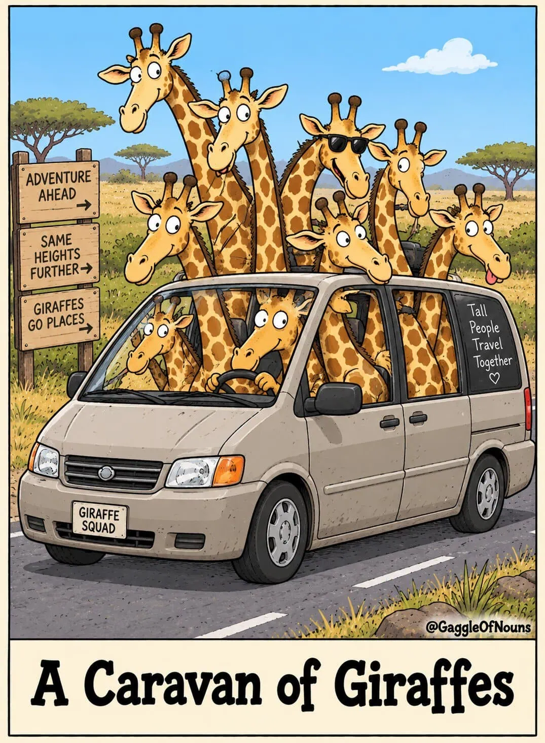 A caravan of giraffes hilariously packed into a minivan with their long necks sticking through the roof and windows.
