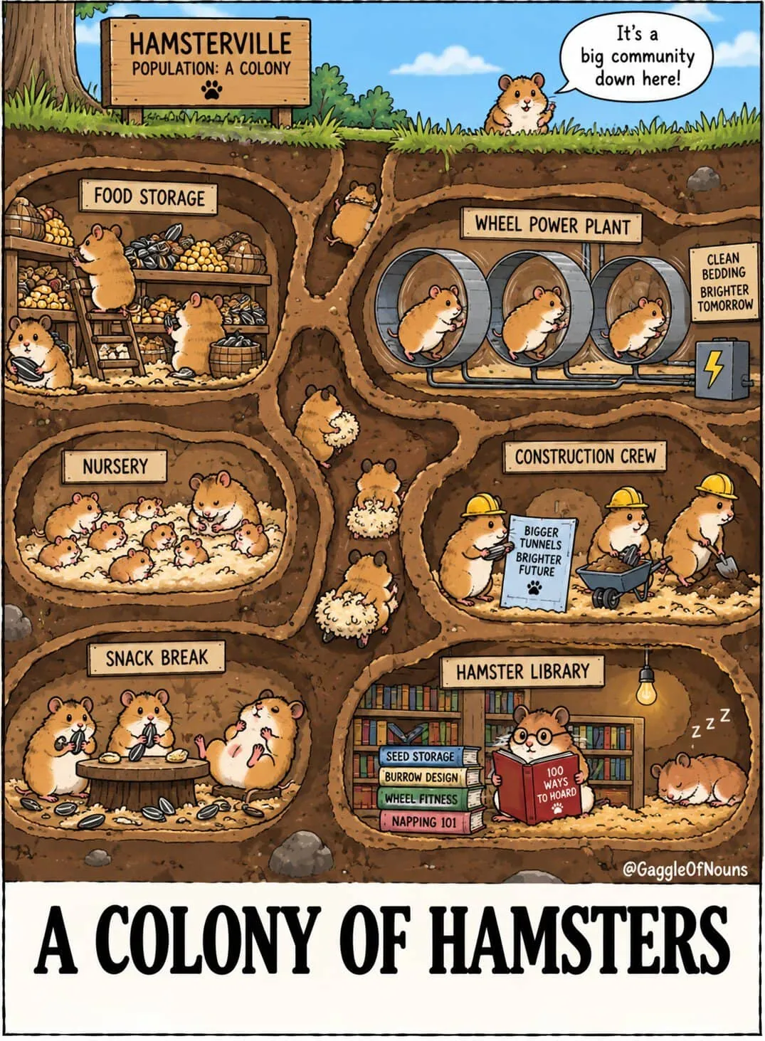 A Colony of Hamsters cartoon showing a cutaway underground hamster community with food storage, a nursery, wheel-powered electricity, construction crews, a library, and snack areas.
