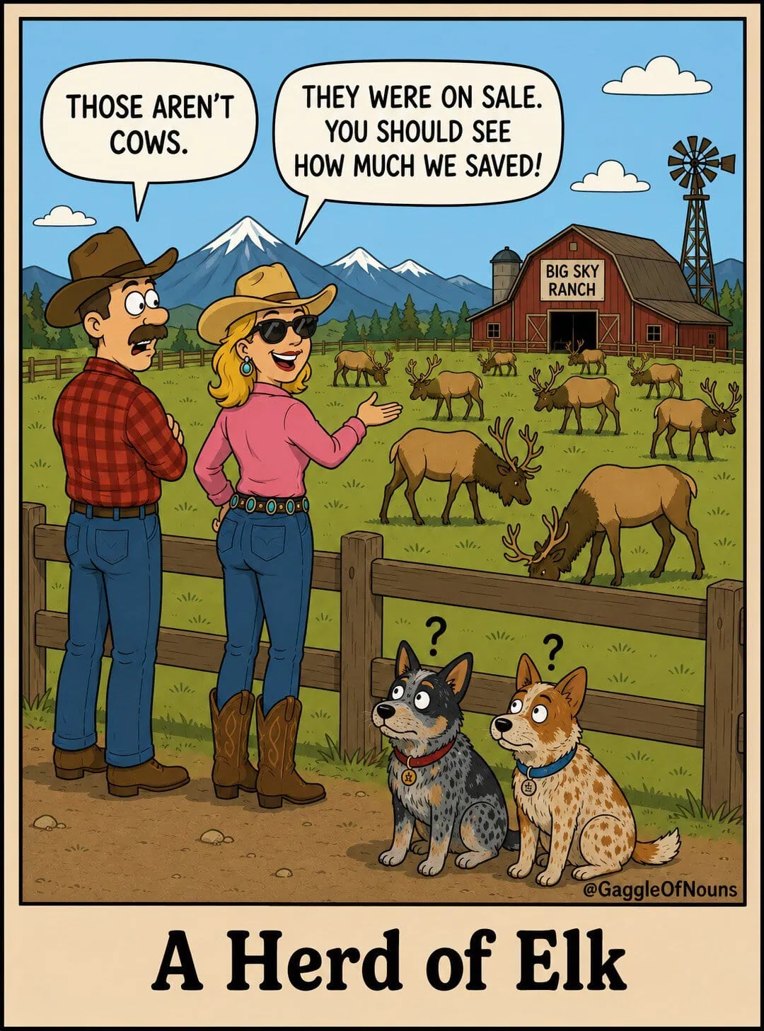Ranch couple looking at a herd of elk while two confused cattle dogs wonder where the cows went.