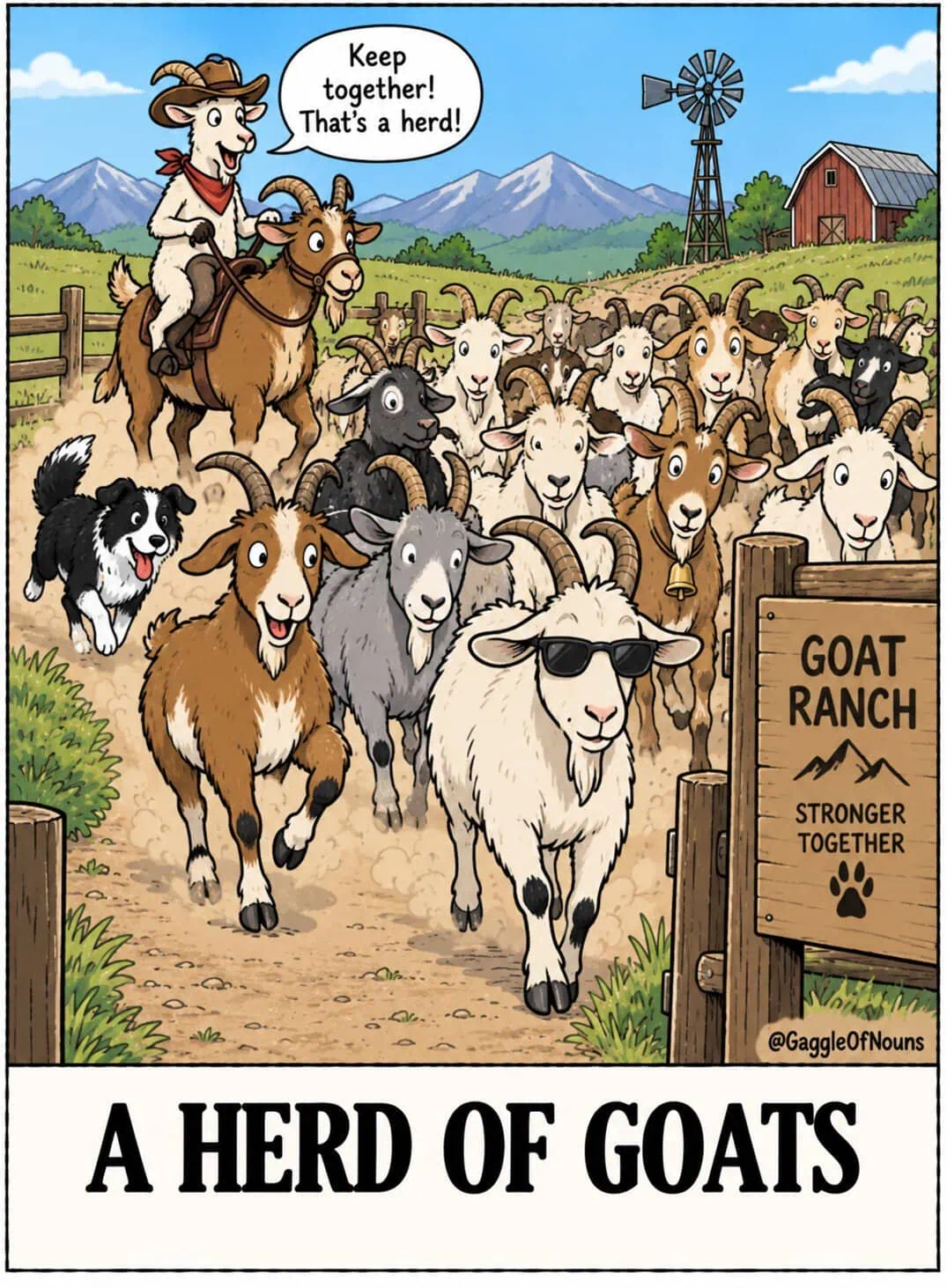 A Herd of Goats cartoon showing a large group of goats being herded down a ranch trail by a cowboy goat and a herding dog.