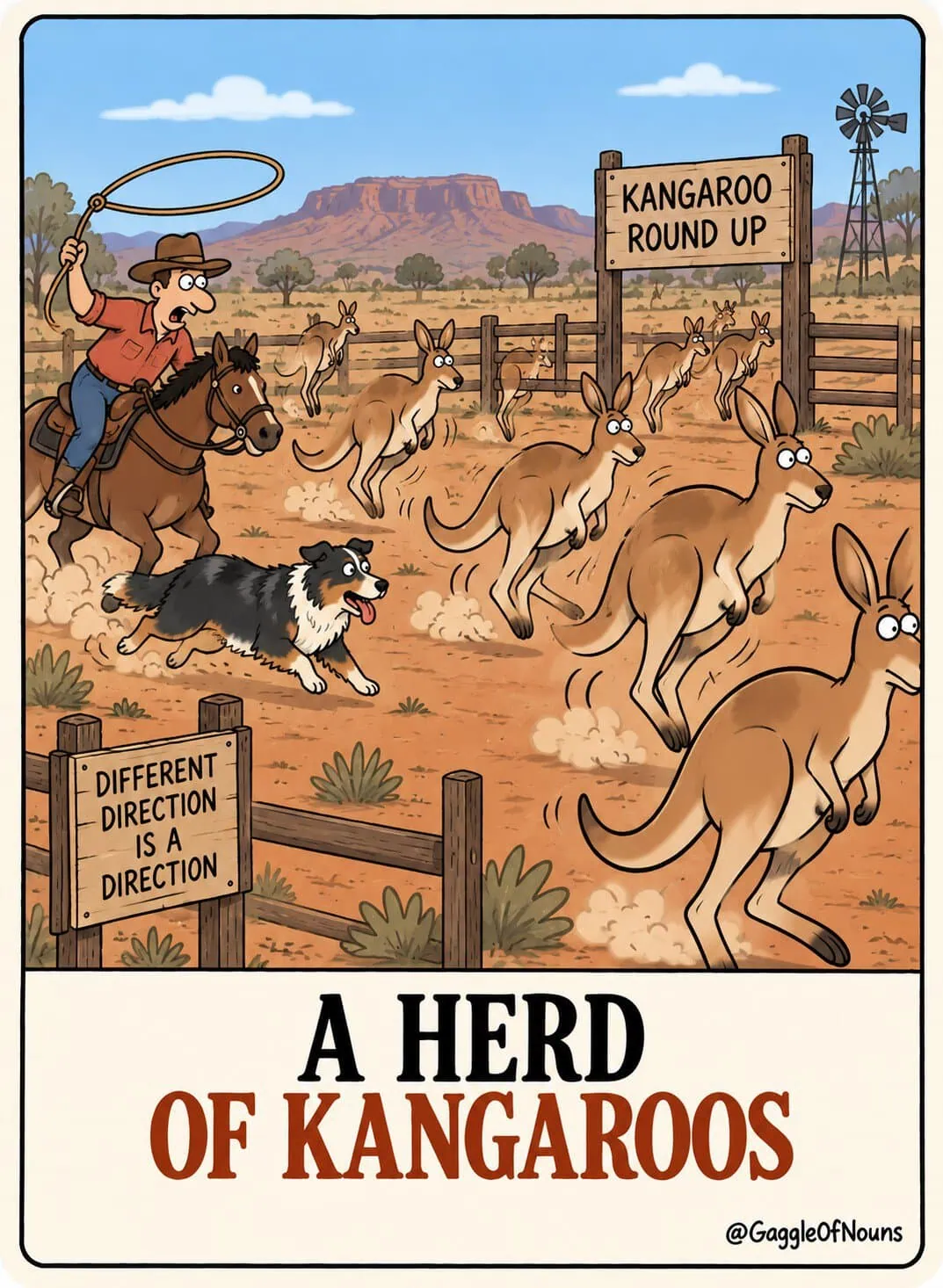 A cartoon herd of kangaroos hopping across the Australian Outback while a cowboy on horseback and a herding dog try to round them up.
