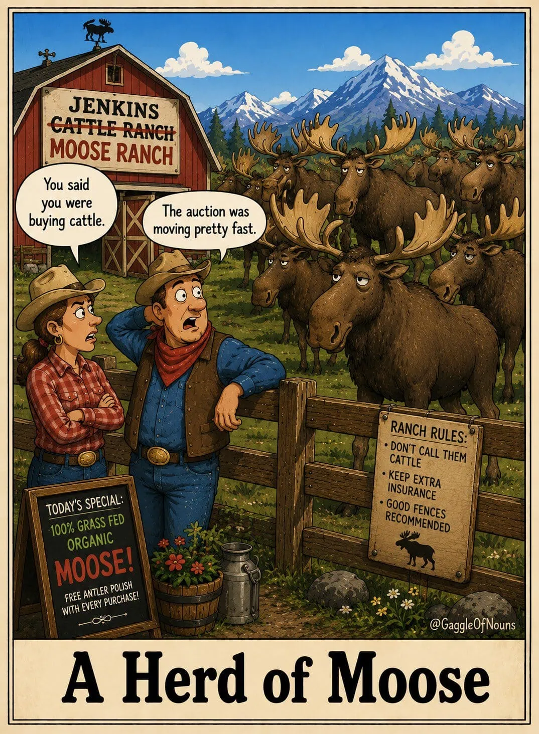 A herd of moose fills a ranch pasture while a rancher explains that he accidentally bought moose instead of cattle at an auction.