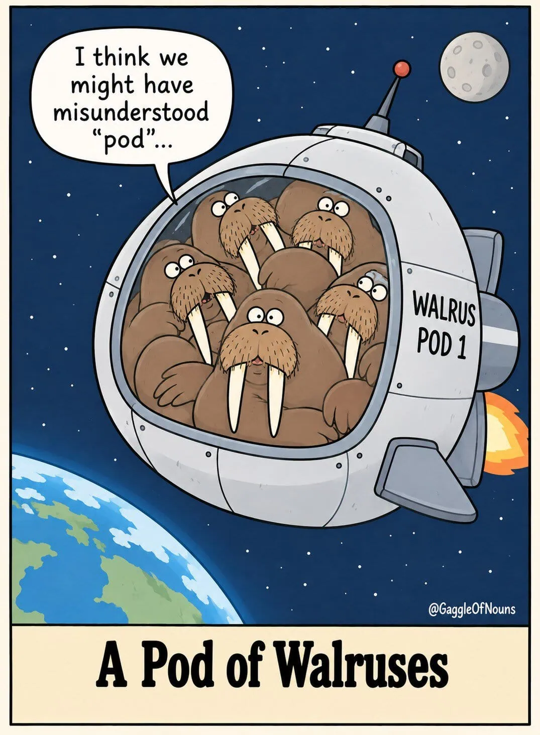 A pod of walruses crammed together inside a tiny space pod orbiting Earth.