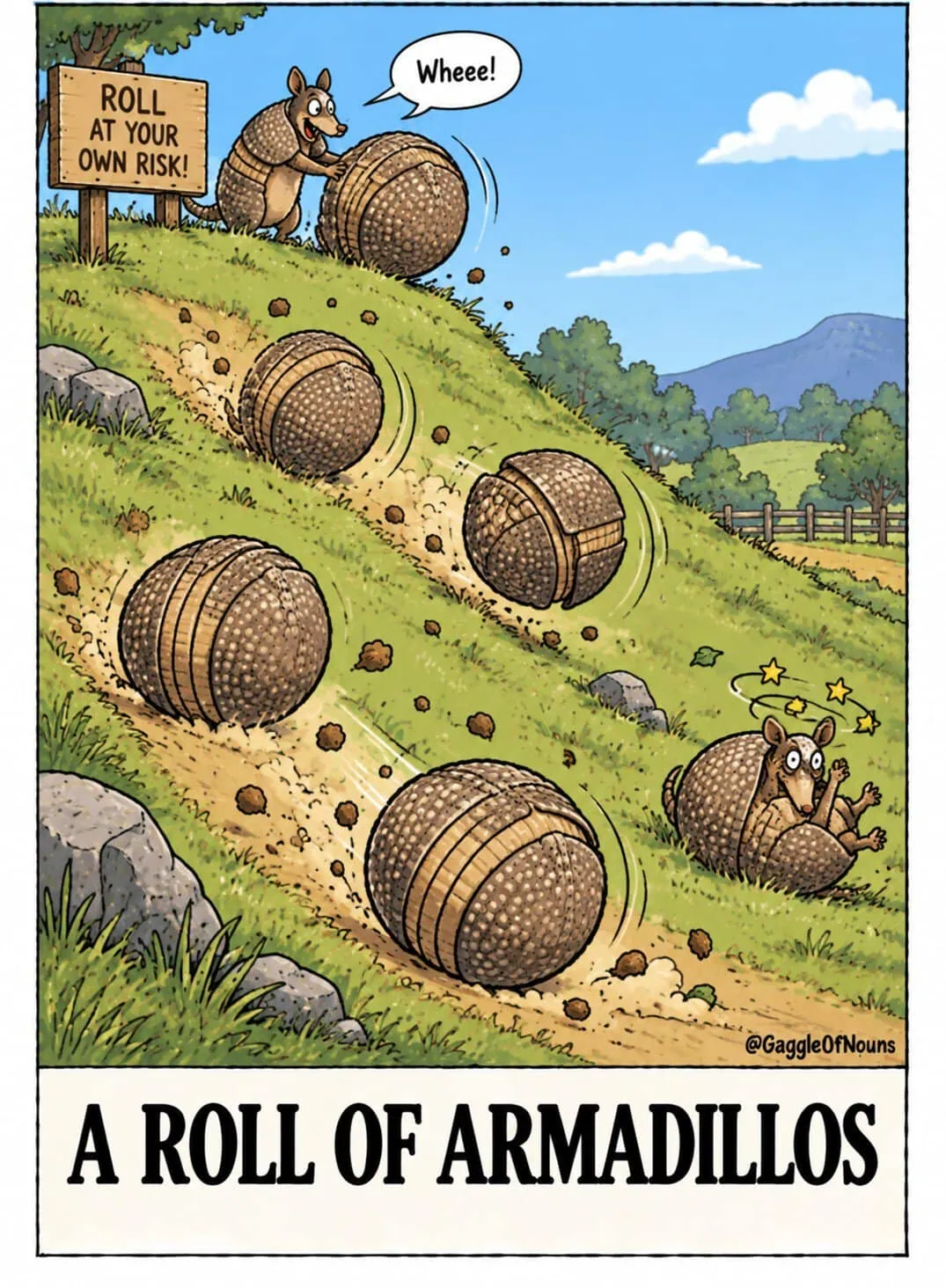 A Roll of Armadillos cartoon showing armadillos curled into balls and rolling uncontrollably down a steep grassy hill while other armadillos watch.