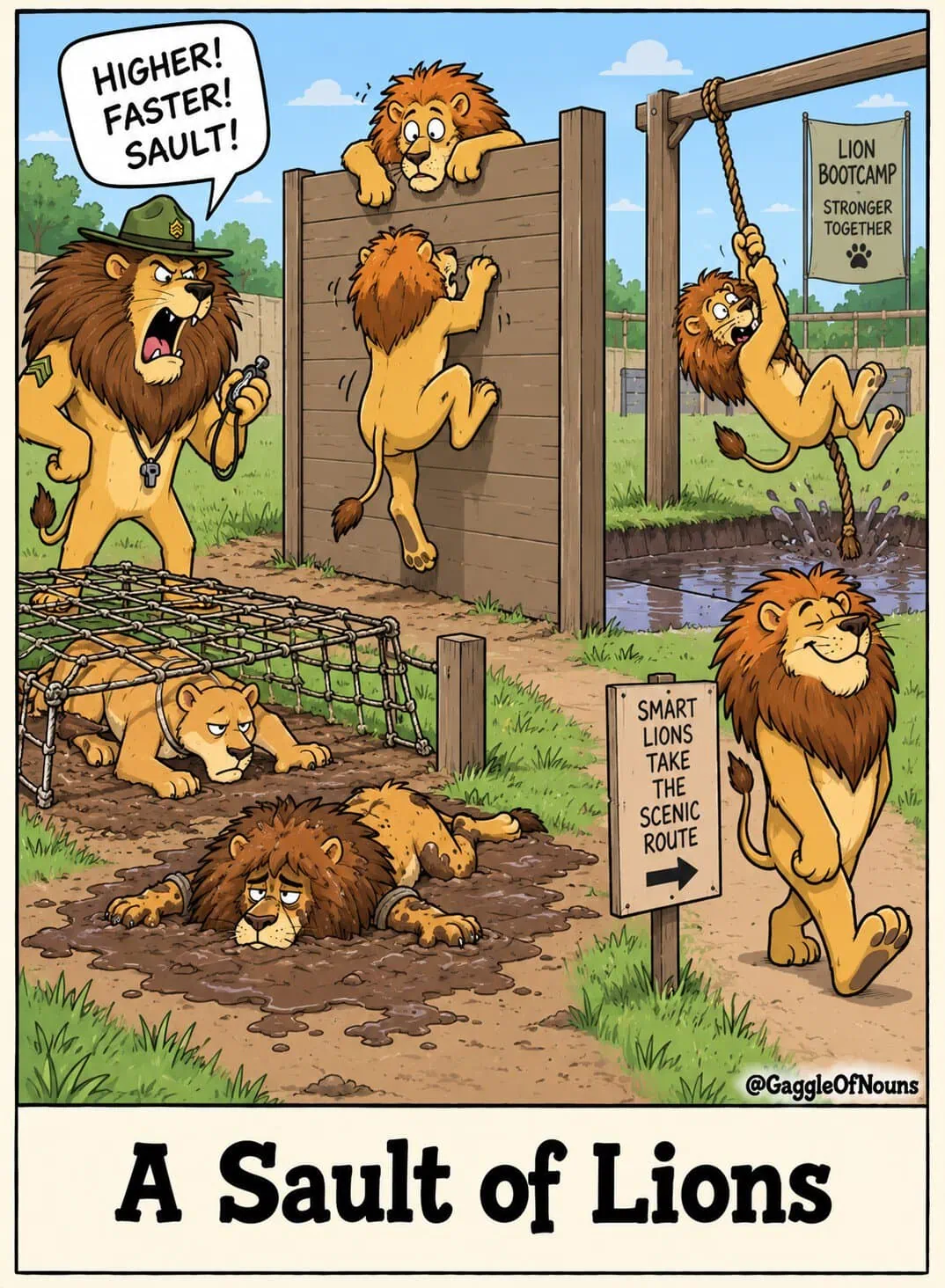A sault of lions struggling through a military obstacle course while one clever lion walks around it.