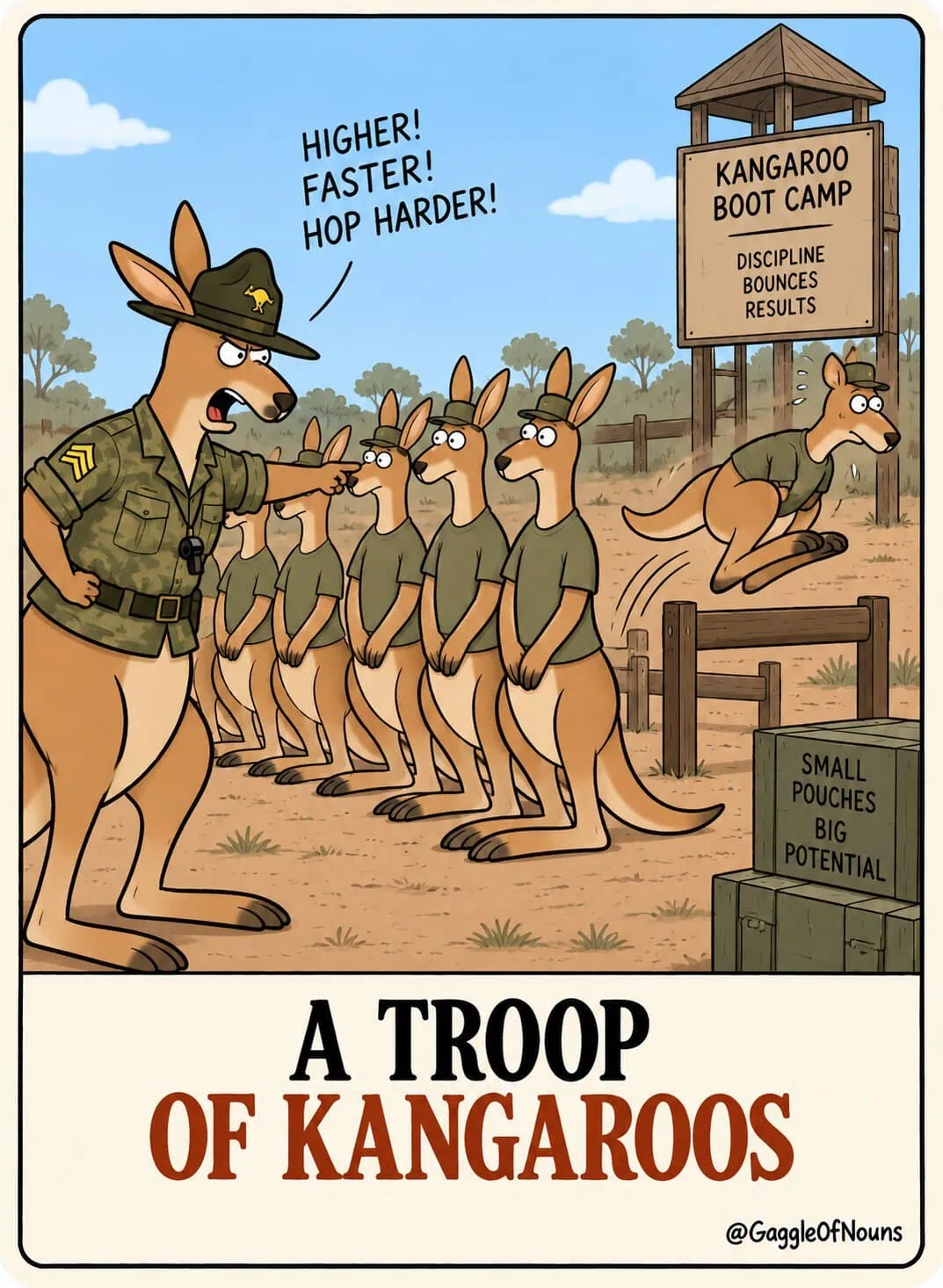 A cartoon troop of kangaroos at military boot camp while a drill sergeant orders recruits to hop harder through training.