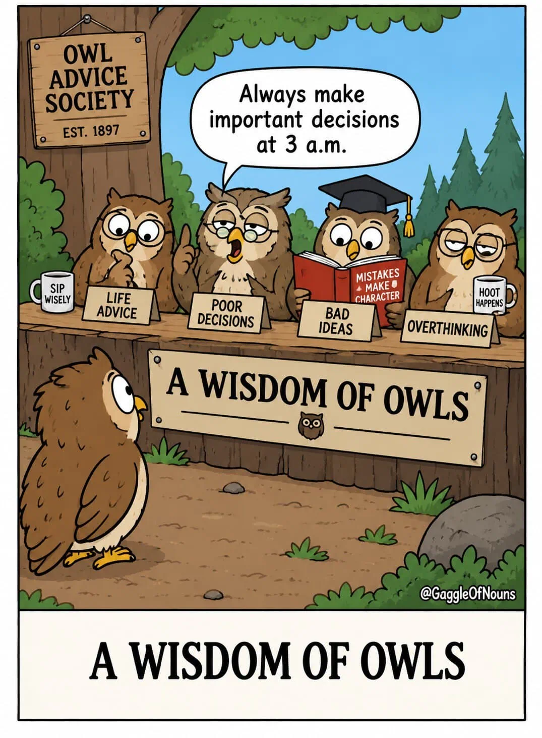 A Wisdom of Owls cartoon showing a group of scholarly owls running an outdoor advice panel and recommending that important decisions be made at 3 a.m.