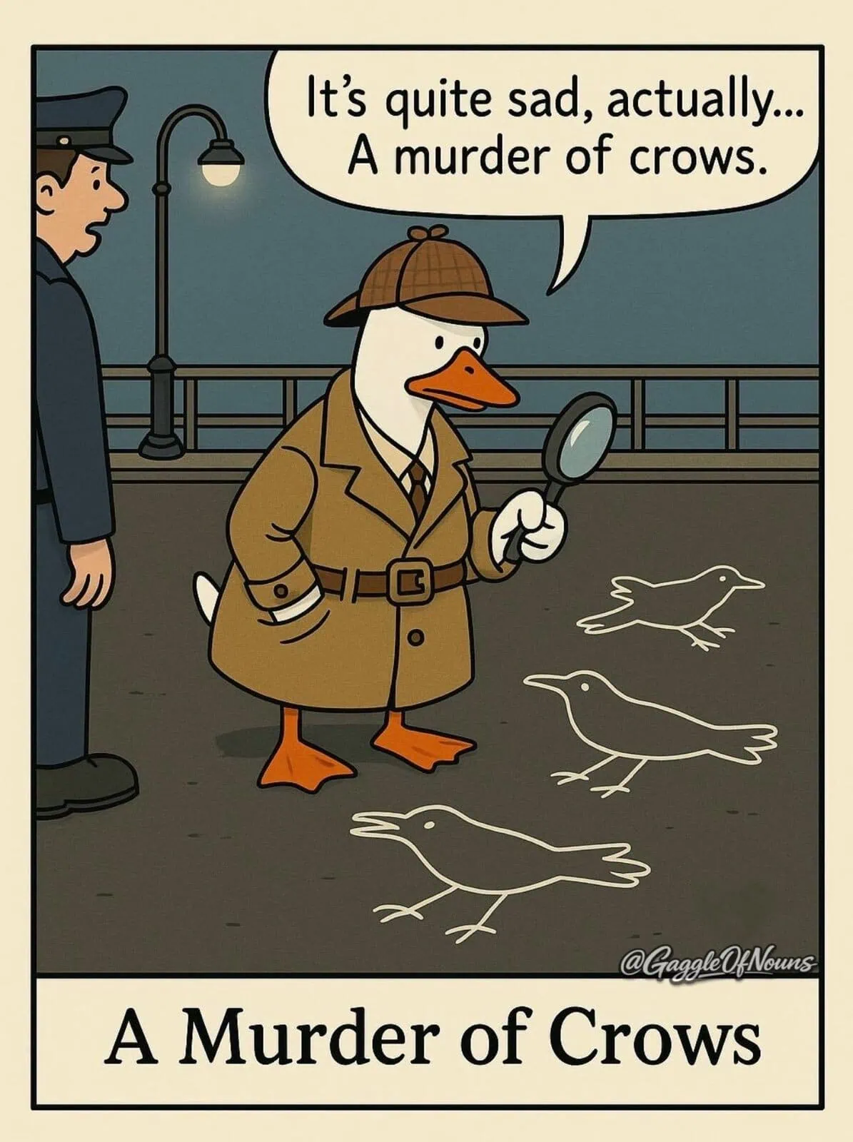 Cartoon duck detective examining chalk outlines of crows illustrating the collective noun “a murder of crows”
