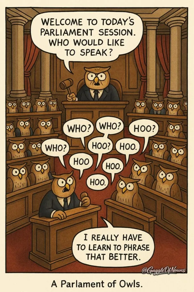Cartoon illustration of owls sitting in a parliament chamber representing the collective noun “a parliament of owls”